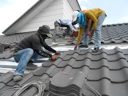 Best Roof Moss and Algae Removal  in North Aurora, IL